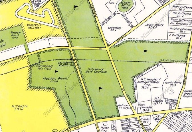 Green and yellow map