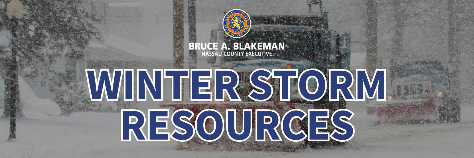 Winter Storm Banner
