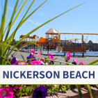 nickersonbeachgraphic