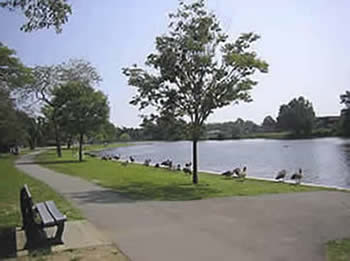 Camman's Pond Park