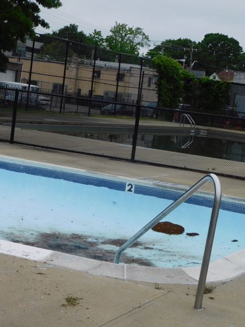 MLK PARK 4