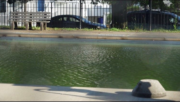 mlk park pool