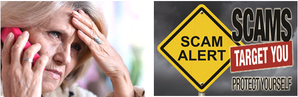 seniorscam10-19