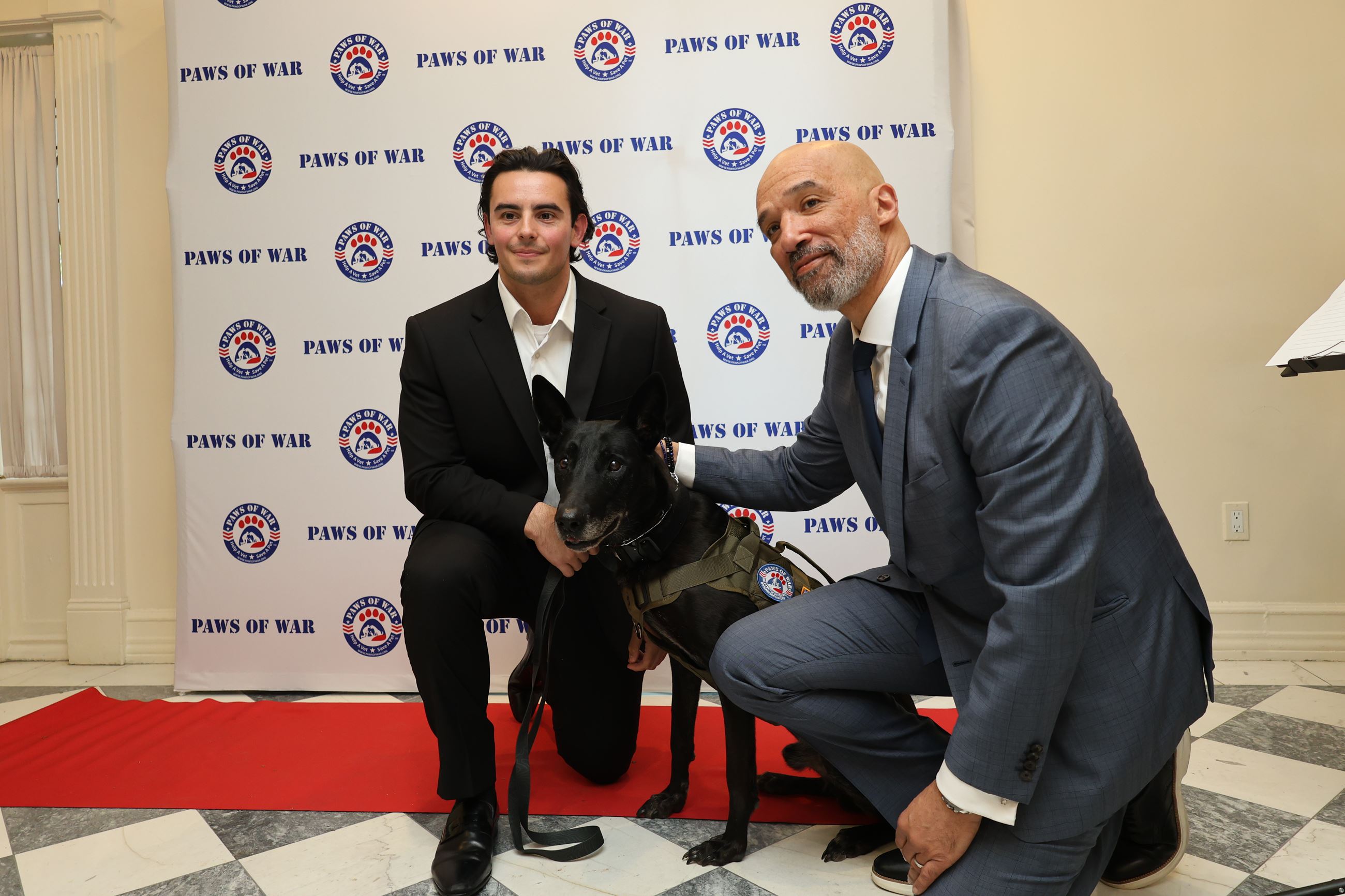 Davis - Paws of War - 1