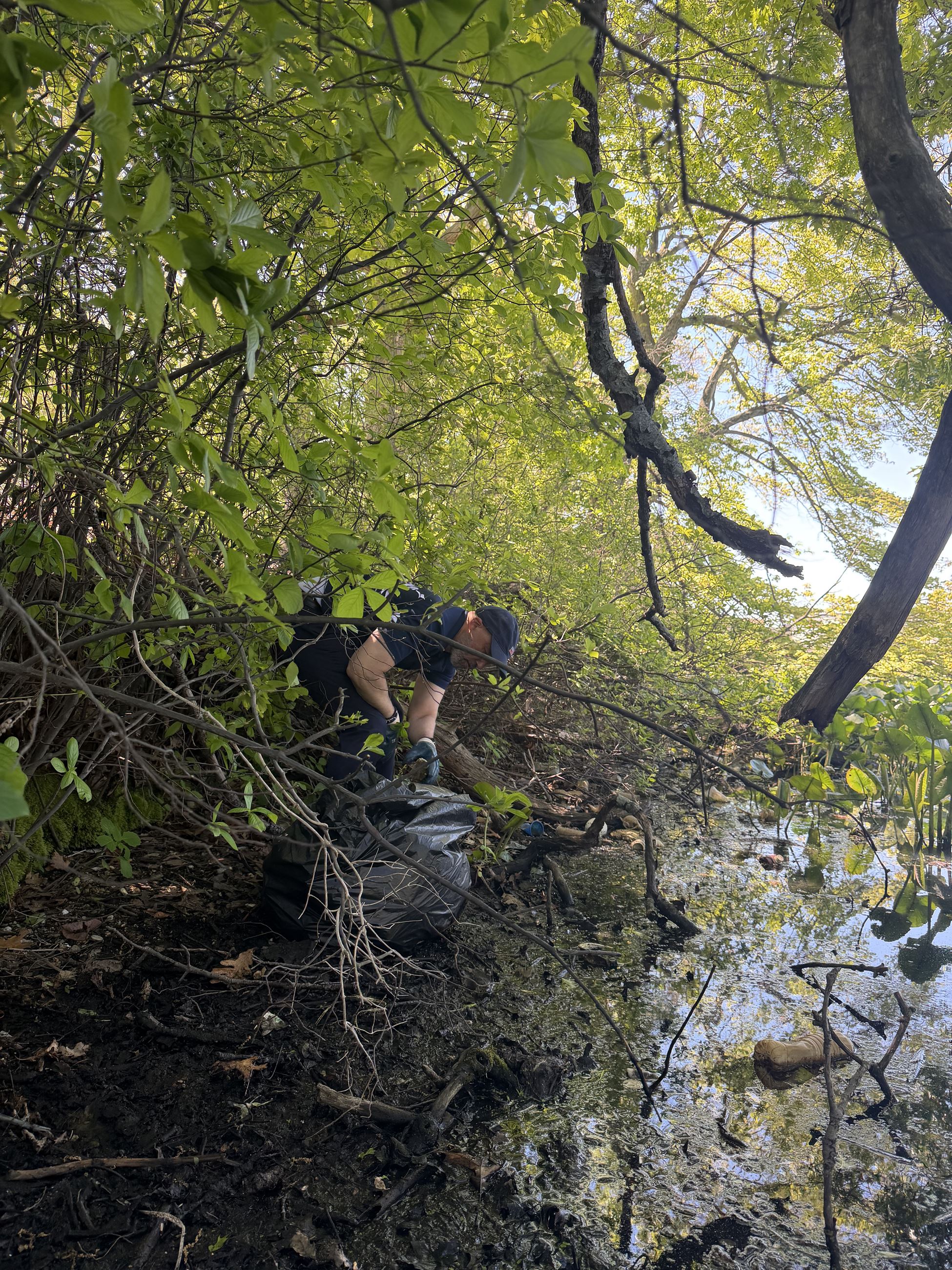 Davis - Smith Pond cleanup - 1