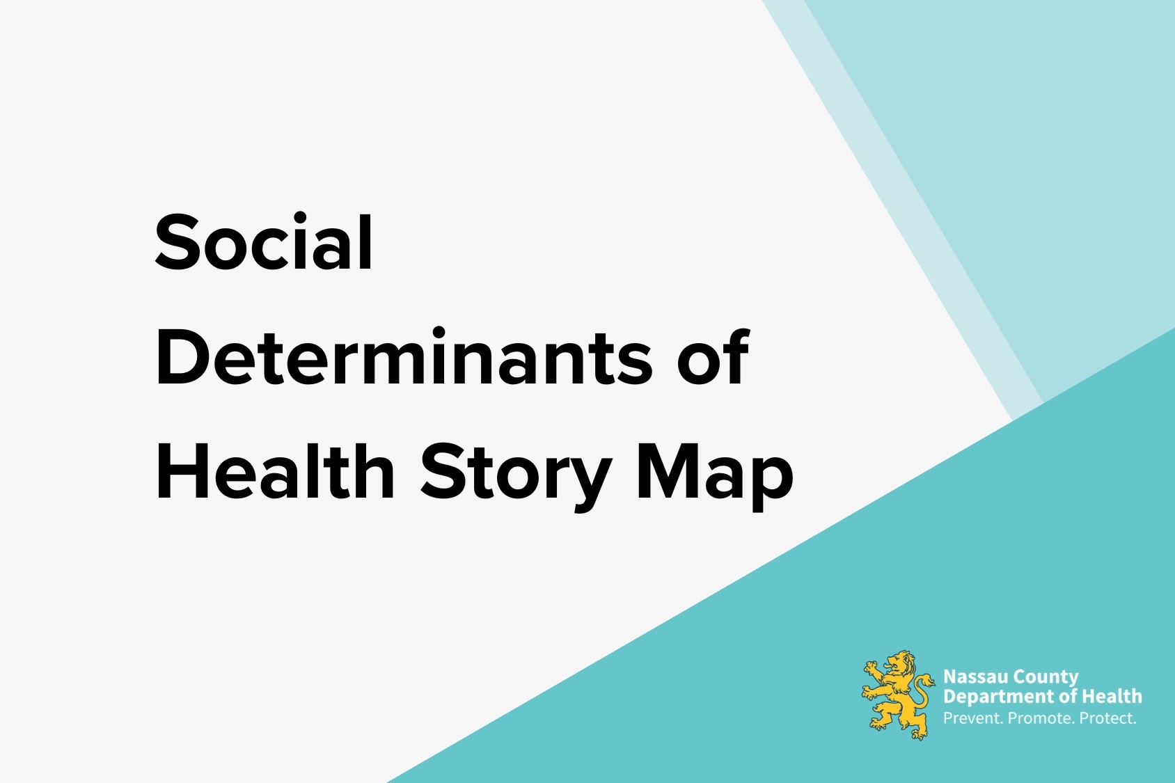 Social Determinants of Health Story Map