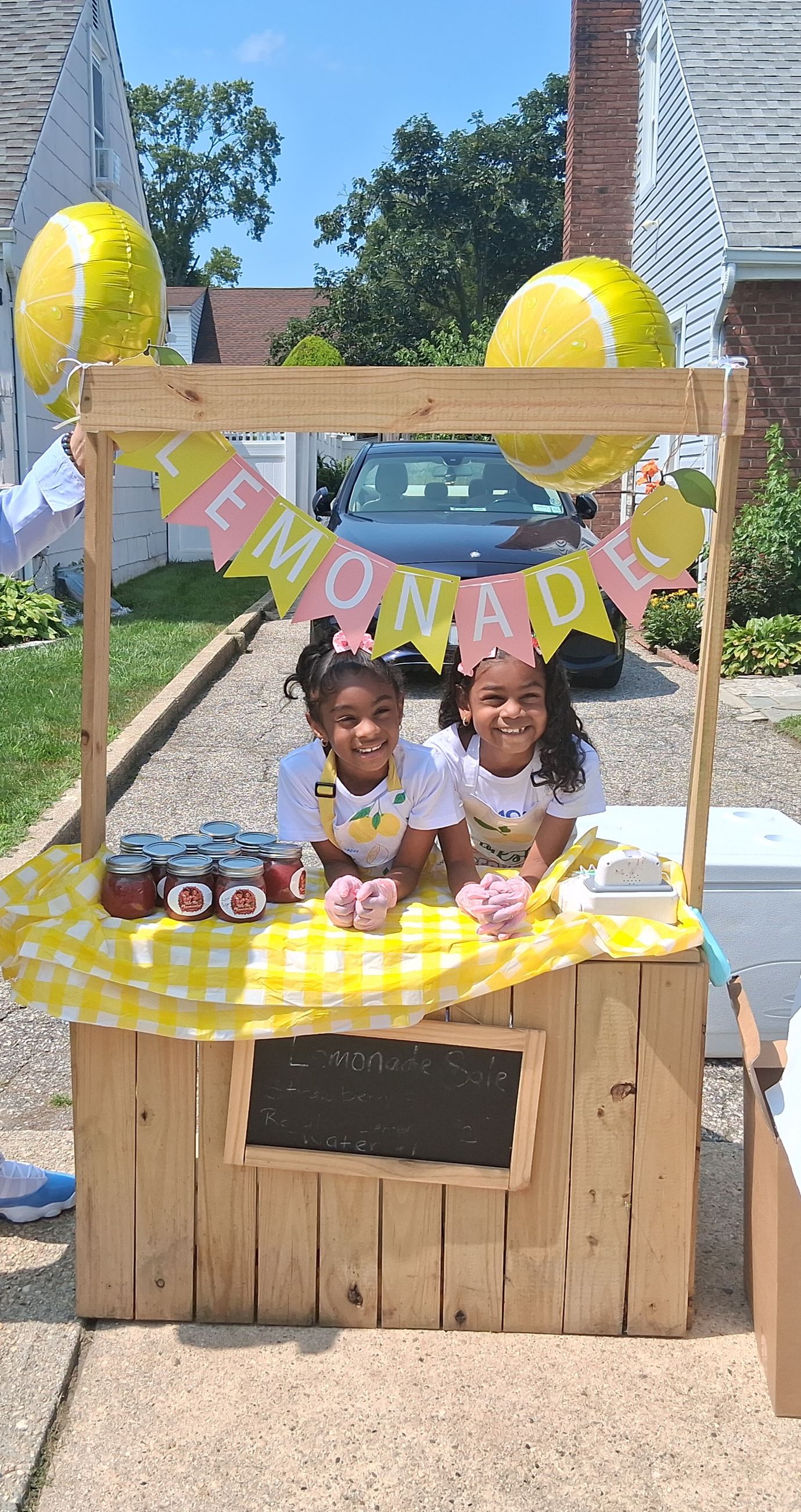 Lemonade Stand