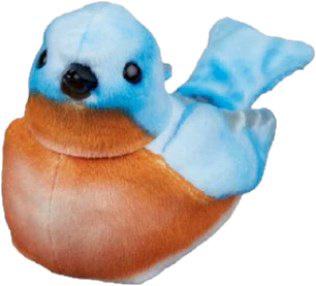 bird