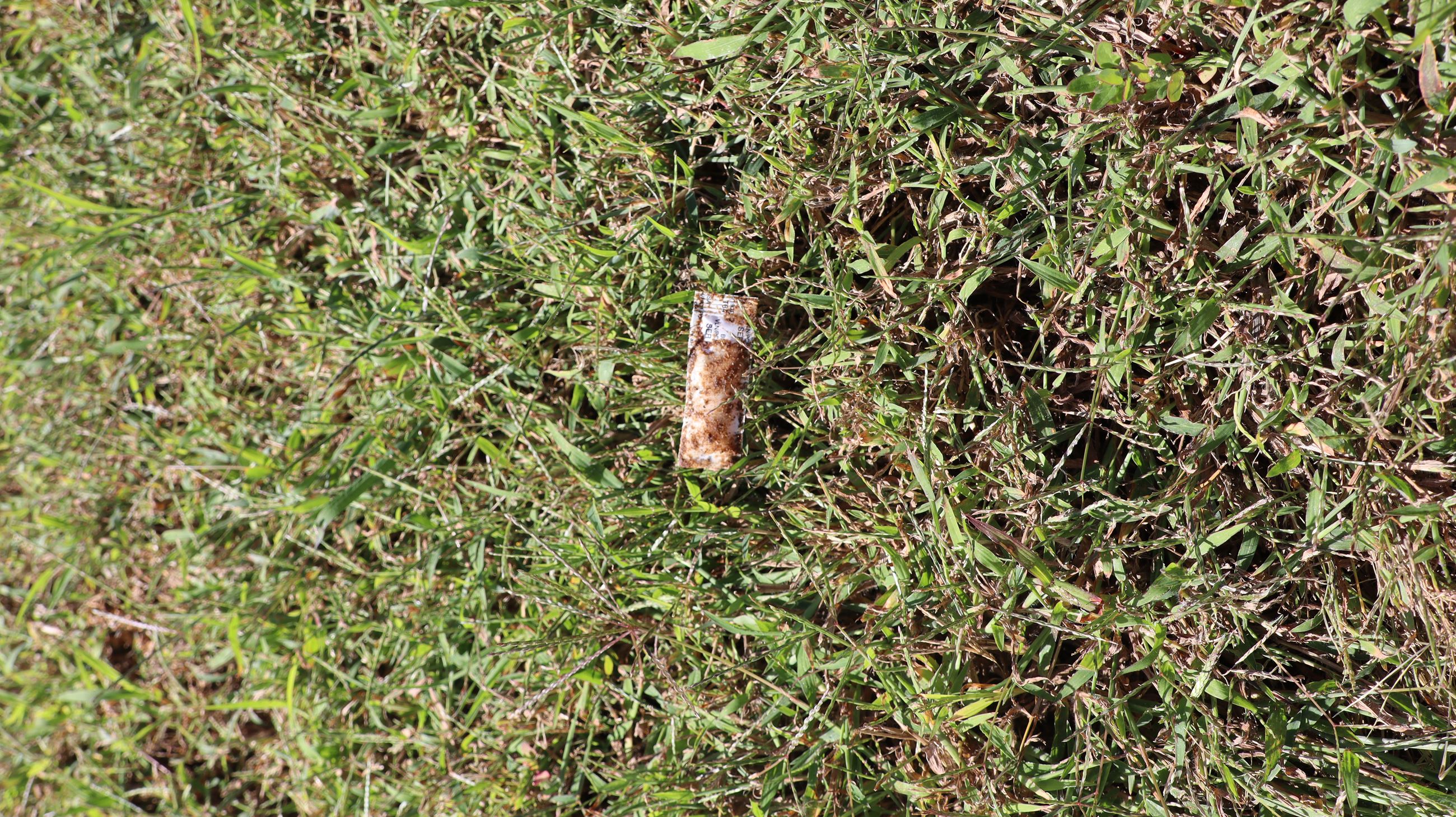 2026 Rabies Bait Photo in Grass