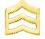 DEPUTY COMMANDING OFFICER gold