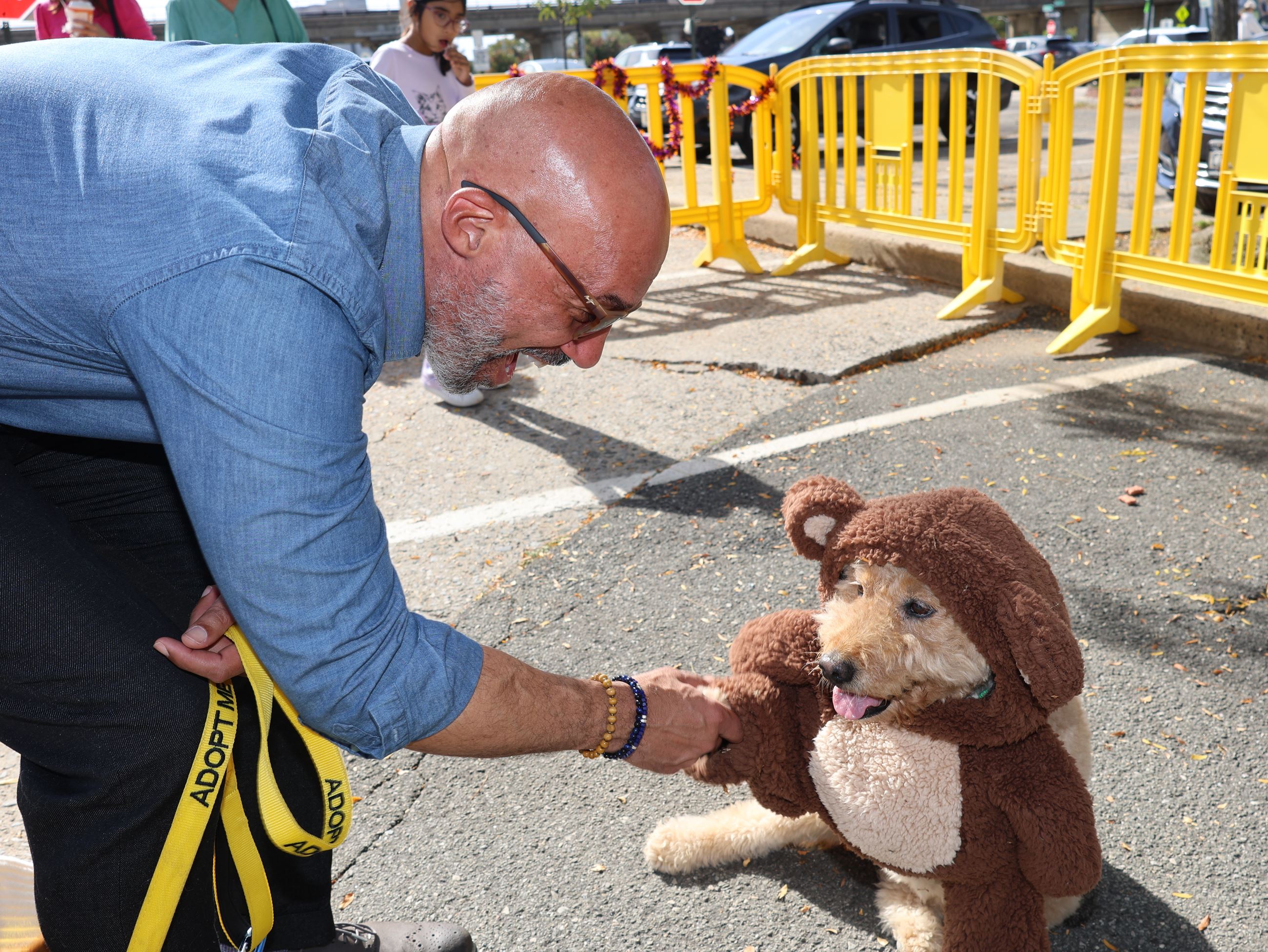 Davis - Dog Event 2026 - 2